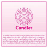 Congrats On That Thing You Did Candle - Infinity Raine