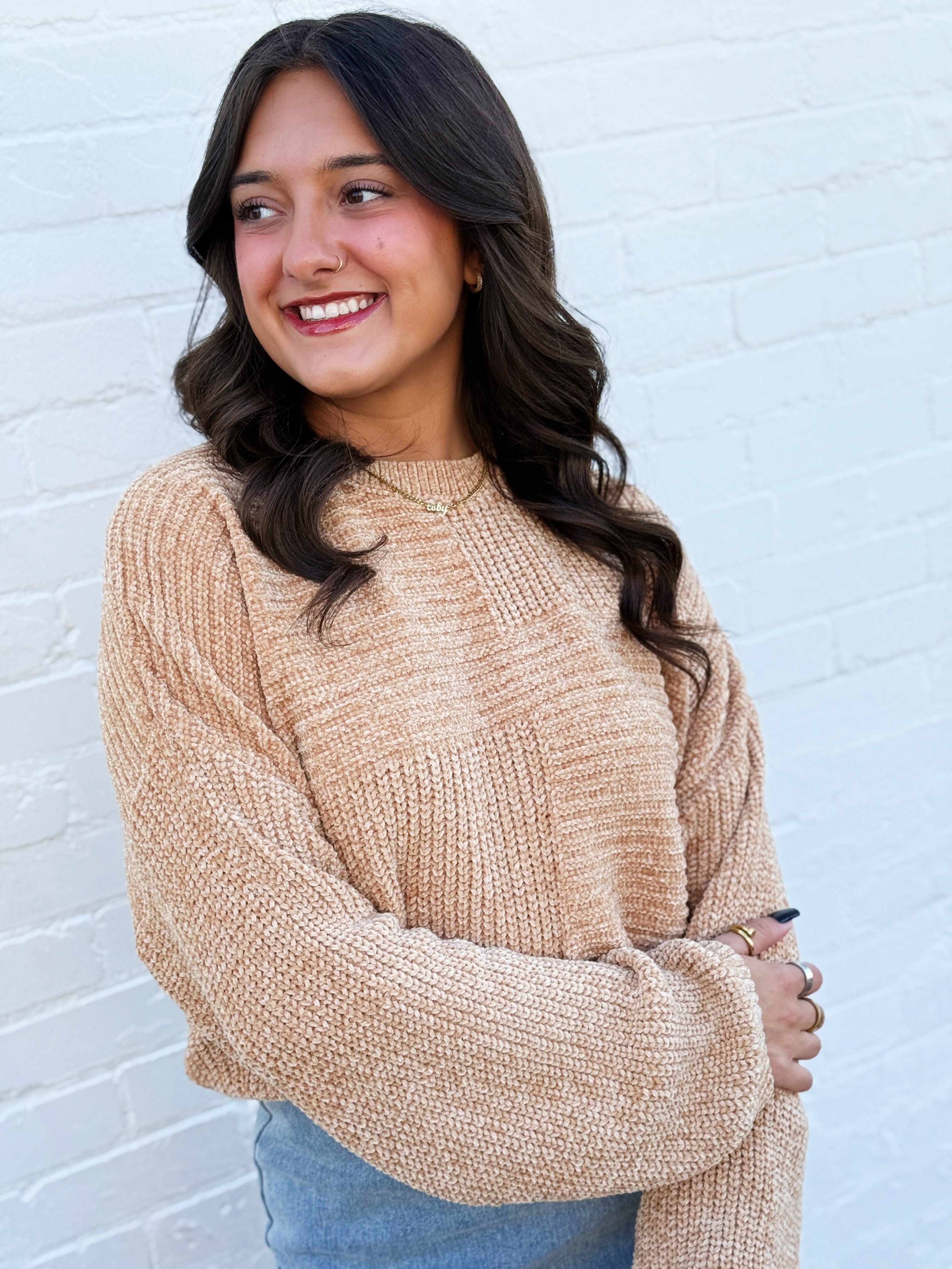 ee:some Tops - Sweaters Textured Chenille Sweater In Autumn