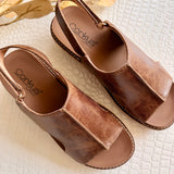 Corkys Volta II In Chestnut 2
