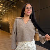 Carter Waffle Polo Sweater Knit Top In Taupe