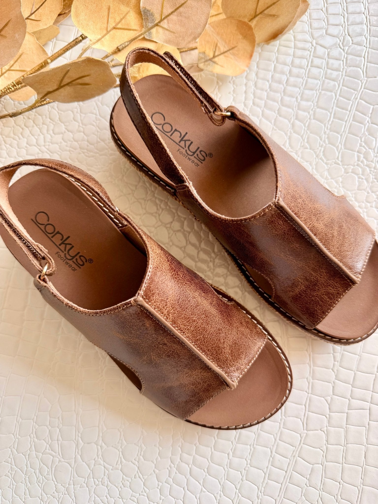 Corkys Volta II In Chestnut 2 - Infinity Raine