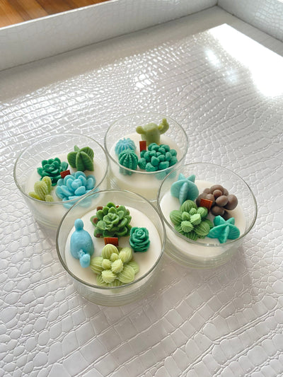 Cacti Blossom Terrarium Candle-Variants - Infinity Raine