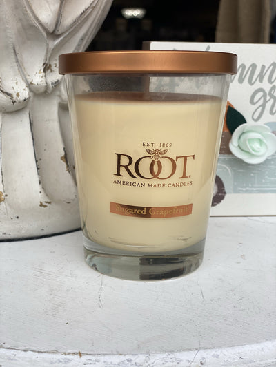 Large Veriglass Root Candle-Sugared Grapefruit - Infinity Raine