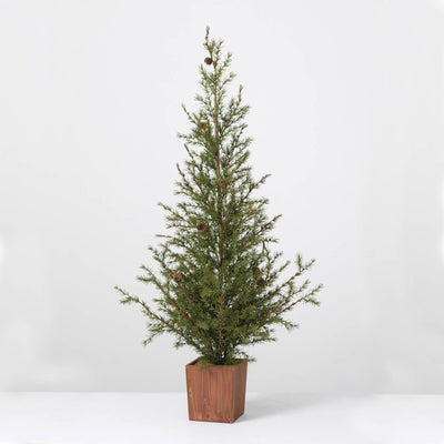 Pine Tree - Infinity Raine