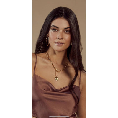 Sahira Zoe Lion Medallion Lariat Necklace-Gold - Infinity Raine